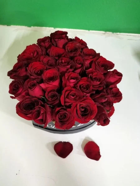 Boxed Red Roses: A Timeless Heartfelt Gesture