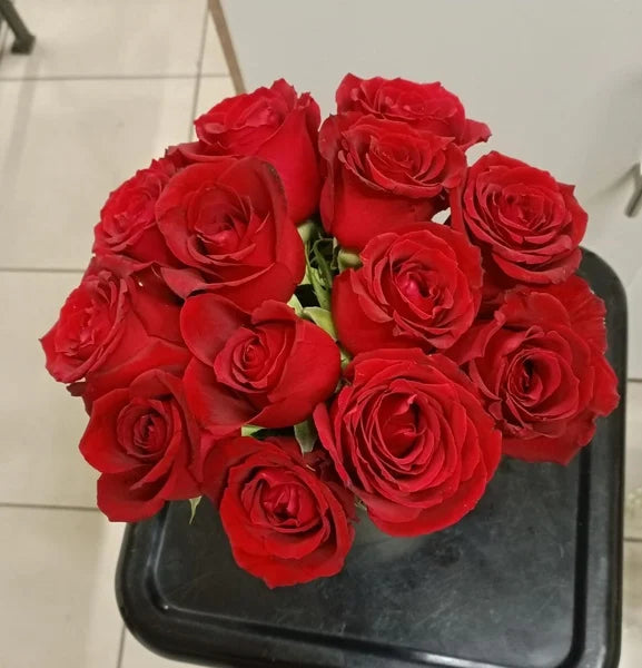 Medium Boxed red roses with Gyp: Elegance and Subtle Charm