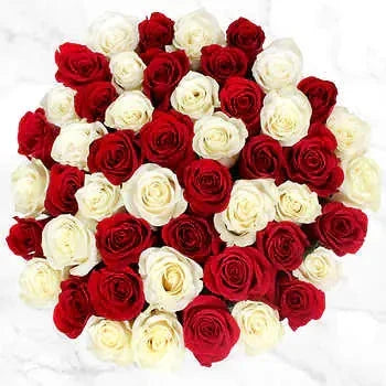 50 Stems of Red Roses